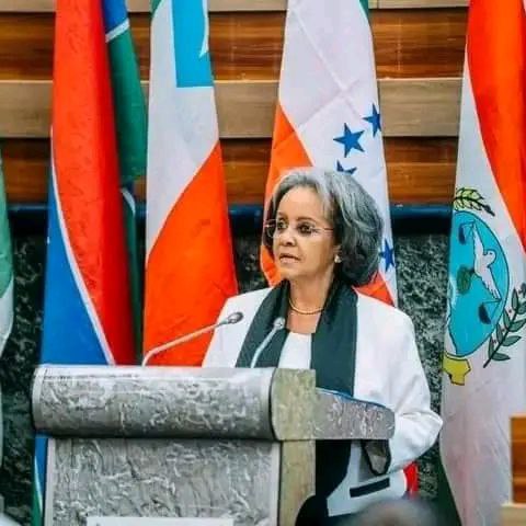 ለ500 ሺህ ዜጎች የውጭ ሀገር የሥራ ስምሪት ለመፍጠር እንደሚሰራ ፕሬዚዳንት ሣኅለወርቅ ገለጹ