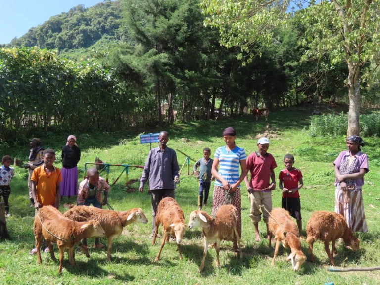 በመሬት አያያዝና አስተዳደር የአየር ንብረት ማሻሻያ (CALM) ፕሮግራም በክልሉ እየተሰሩ ያሉ ስራዎች ውጤታማ እንደሆነ ተገለጸ።