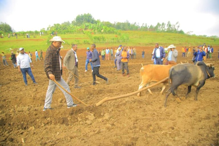 የ2016 የምርት ዘመን ክልላዊ የበጋ መስኖ ስንዴ ማስጀመሪያ መርሀግብር ተካሄደ።