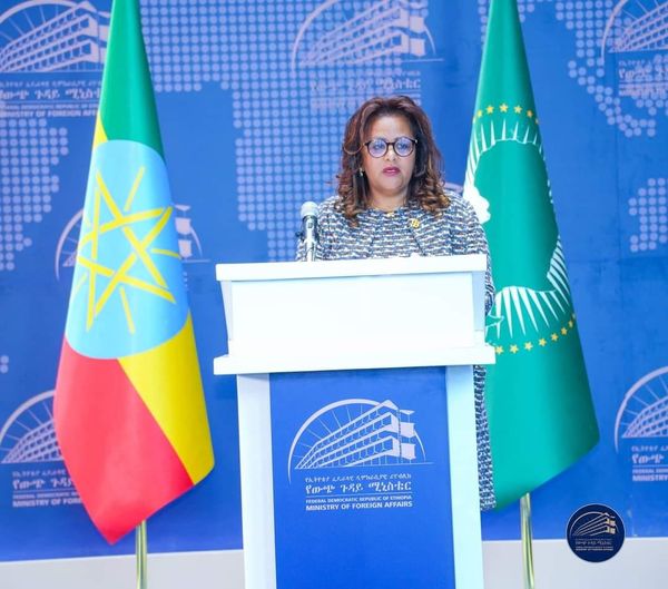 የኢትዮጵያ የዲፕሎማሲ ሳምንት አውደ-ርዕይ ትውልድ ተሻጋሪ የሆኑ ሥራዎችን ሰንዶ ማስቀመጥ የተቻለበት ነው-አምባሳደር ብርቱካን አያኖ::