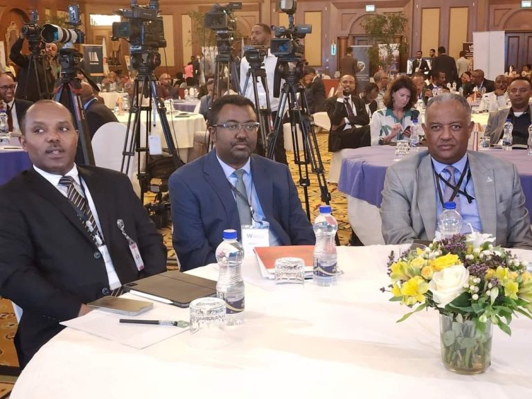 የኢትዮጵያ የፋይናንስ ባለሙያ ሴቶች ኔትዎርክ በይፋ ተመሰረተ::