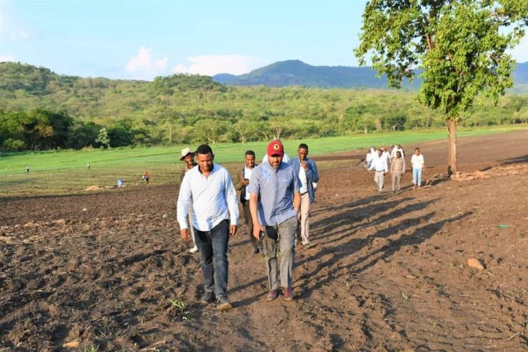 የኮንታ ልማት ማህበር 10 ሺህ ቶን የድንጋይ ከሰል ምርት ለፋብሪካ ለማቅረብ እየሠራ እንደሚገኝ ተገለፀ።