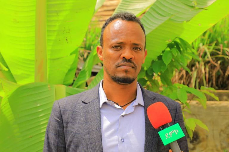 ክልሉ ከተመሠረተ ወዲህ ለከተሞች የተለያዩ ደረጃ እና ዓይነት ያላቸው 86  ፕላኖች ተዘጋጅተዋል-የክልሉ ከተሞች ፕላን ኢንስቲትዩት