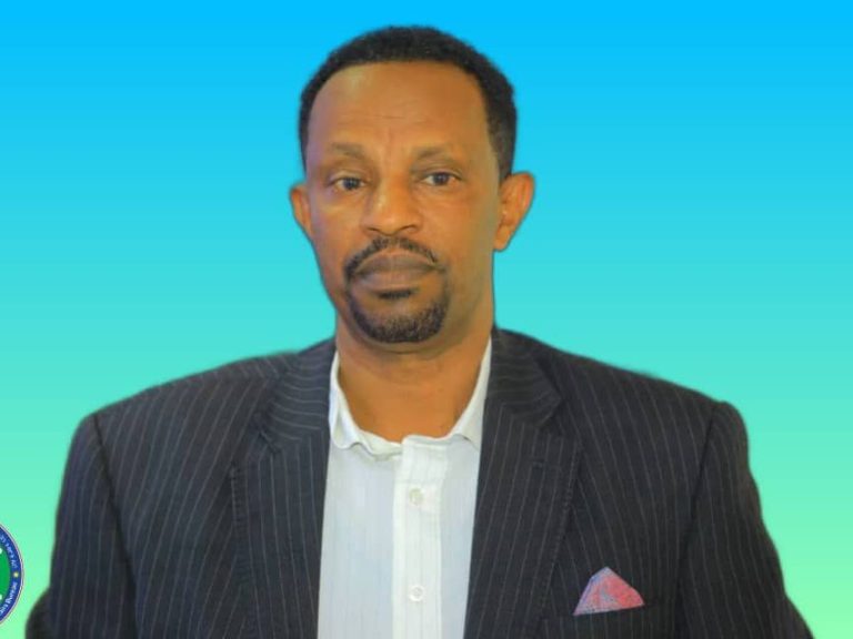 ዉጤታማ ፐብሊክ ሰርቫንት መገንባት