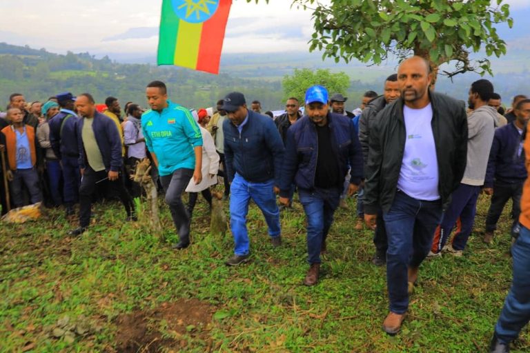 ክልላዊ የአንድ ጀምበር የአረንጓዴ አሻራ መርሀግብር በድምቀት እየተከናወነ ይገኛል።