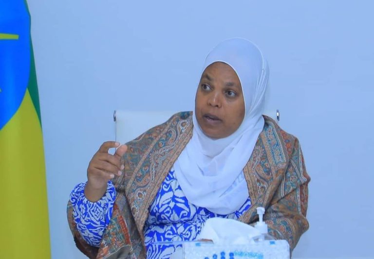 የሀገር ውስጥ የሥራ ስምሪቱን ከማስፋት ባሻገር ዓለም አቀፍ ዕድልን አሟጦ ለመጠቀም በትኩረት ይሰራል