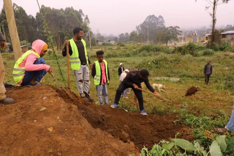 በቦንጋ ከተማ የወባ ወረርሽኝ የሚራባባቸውን አካባቢዎች የማጽዳትና ፍሳሾችን የማስወገድ ሥራ ተጠናክሮ ቀጥሏል።