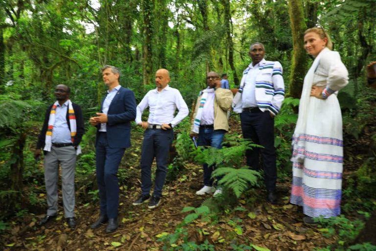 የኖርዌይ እና የዴንማርክ አምባሳደሮች በሁለቱ ሀገር መንግሥታት ድጋፍ በደቡብ ምዕራብ ኢትዮጵያ ህዝቦች ክልል የተከናወነው ተግባራትን ጎበኙ