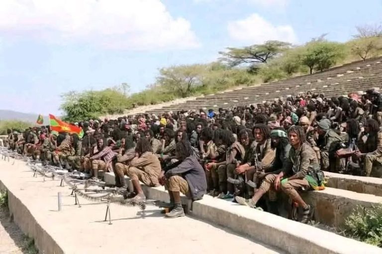የትጥቅ ትግል ሰብዓዊ እና ቁሳዊ ኪሳራዎችን ከማስከተል ውጭ ዘላቂ ሰላምን አያመጣም – ምሁራን