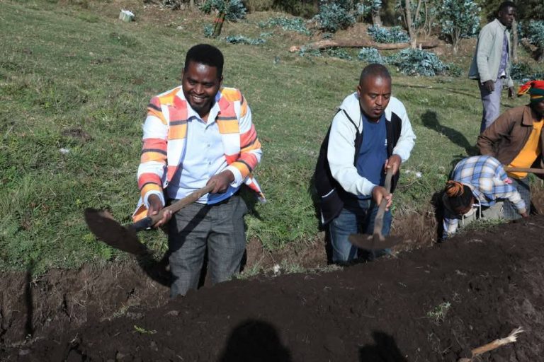 በዳዉሮ ዞን በዘንድሮ በተቀናጀ የተፋሰስ ልማት 40 ሺህ ሄክታር መሬት ለማልማት ታቅዶ እየተሠራ መሆኑን የዞኑ ግብርና፣ አካባቢ ጥበቃና ኅብረት ሥራ ልማት መምሪያ አስታወቀ