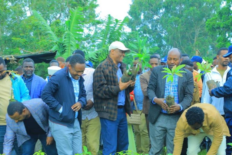 በ2017 ዓ/ም የበልግ የአረንጓዴ አሻራ ተከላ መርሃ ግብር በክልሉ ከ116 ሚሊዮን በላይ የተለያዩ ኢኮኖሚያዊ ጠቀሜታ ያላቸው ችግኞች ይተከላሉ፦ አቶ ማስረሻ በላቸው