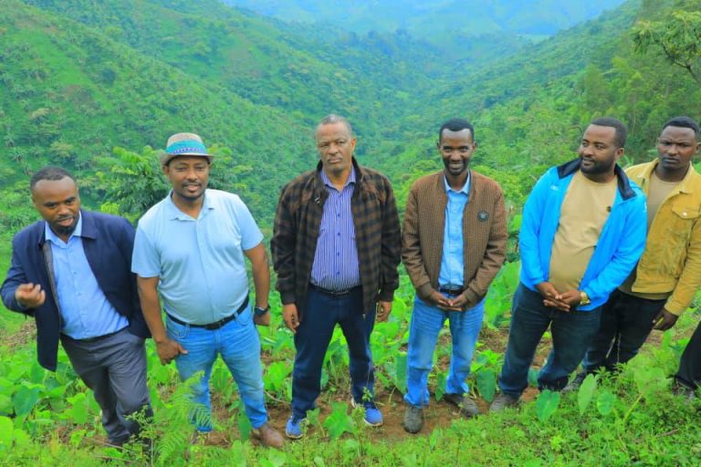 በሰሜን ቤንች ወረዳ የባህር ዛፍን በማንሳት በምትኩ በፍራፍሬና በሰብል ለመሸፈን እየተሰራ ያለው ሥራ ተሞክሮ የሚቀመርበት ተግባር ነው፦ አቶ ማስረሻ በላቸው