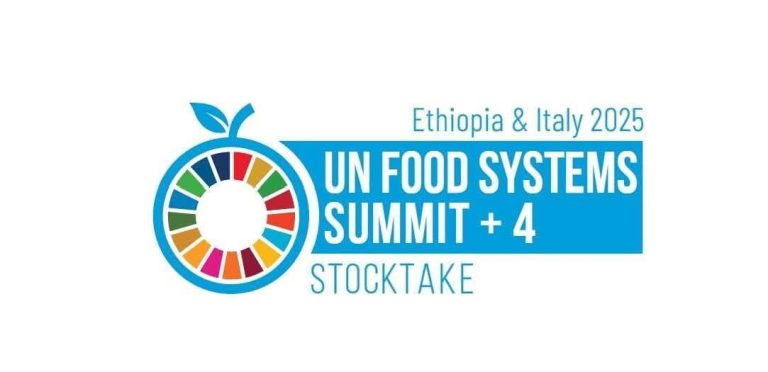 ሁለተኛው የተባበሩት መንግስታት የምግብ ሥርዓት ጉባኤ መካሔድ ጀመረ