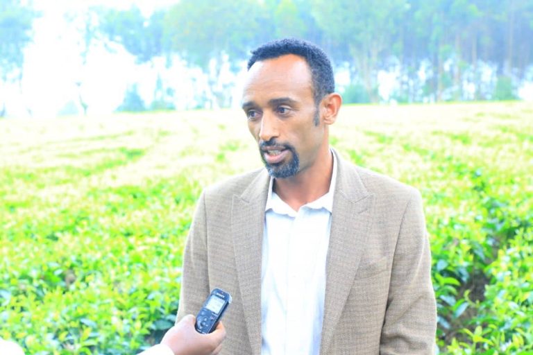 የትግራይ ክልል ከደቡብ ምዕራብ ኢትዮጵያ ግብርና ምርምር ኢንስቲትዩት ጋር የልምድ ልውውጥ አካሄዱ